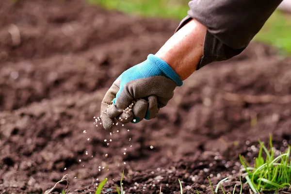 O que podemos aprender com a indústria nacional de Fertilizantes