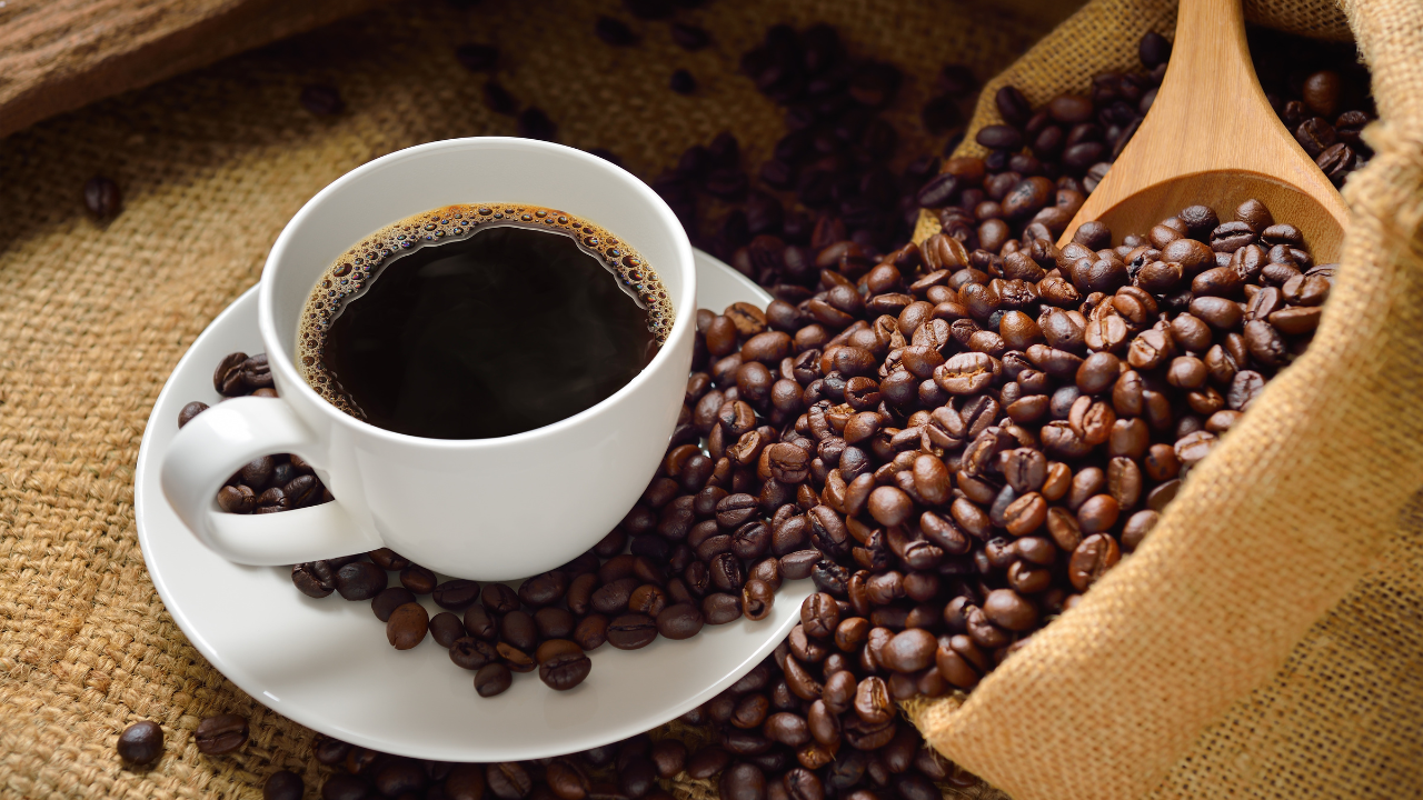 Empreendedorismo e sustentabilidade: Café Apuí, o primeiro café agroflorestal da Amazônia