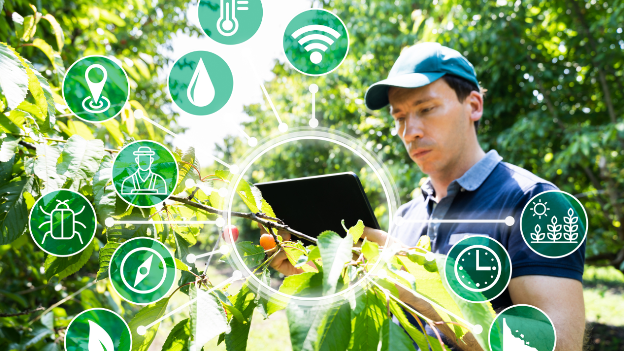 Mapa e Embrapa assinam acordo com Japão para cooperação em agricultura digital