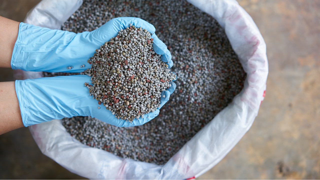 Empresa de fertilizantes do Marrocos vai ampliar atuação no Brasil