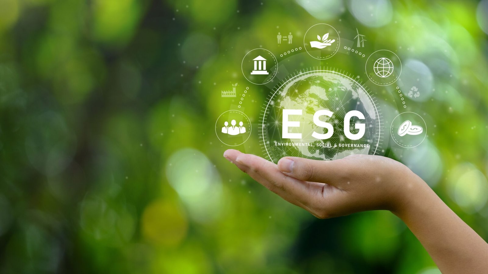 Compliance e monitoramento na cadeia de suprimentos também é ESG