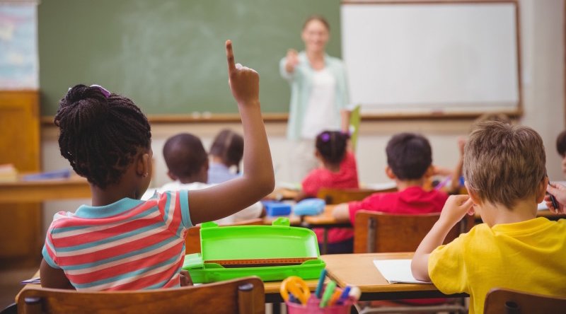 Inteligência emocional e a educação básica