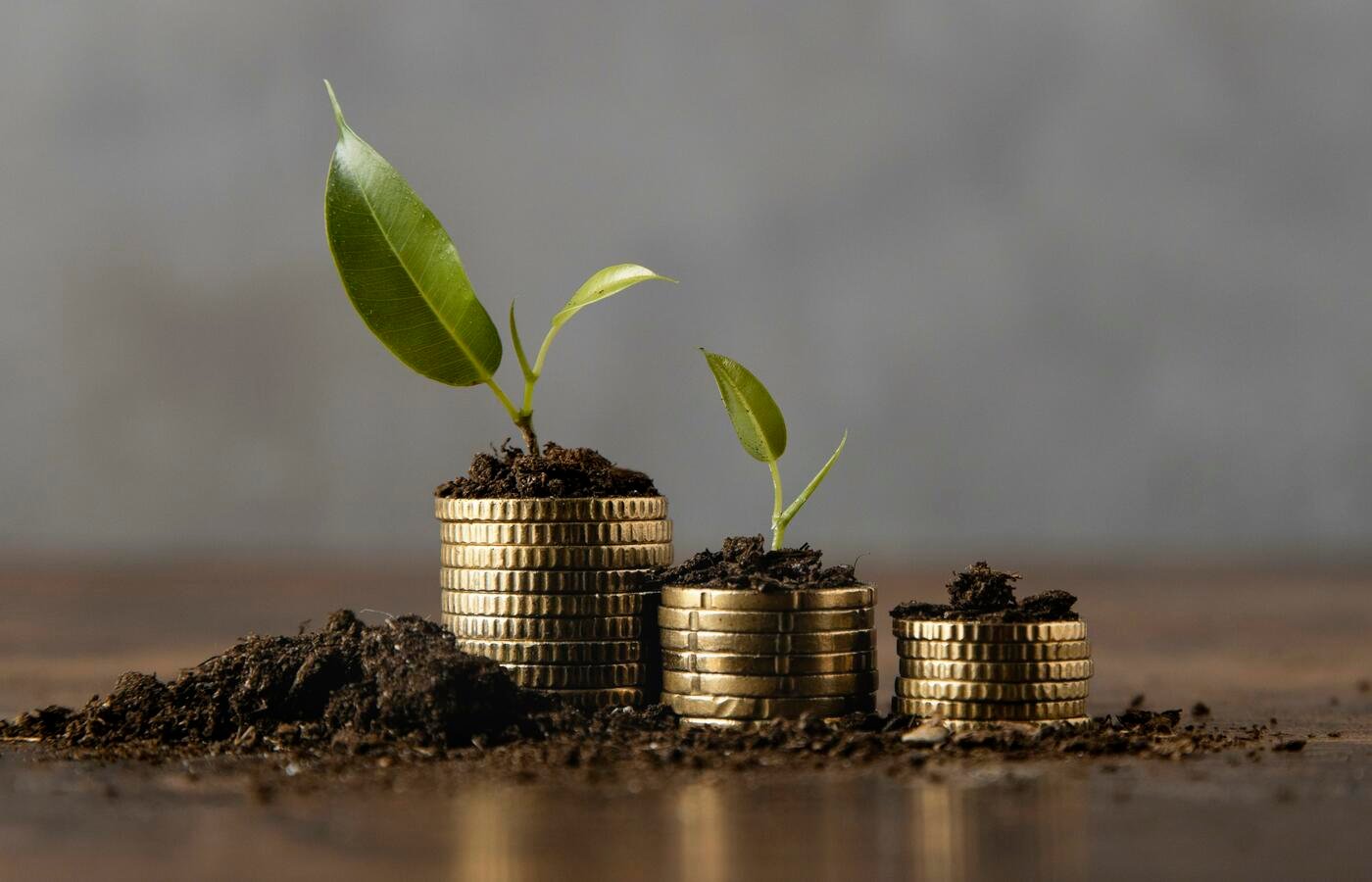 Brasil possui R$ 411 bi para financiamento de projetos verdes por meio de bancos públicos