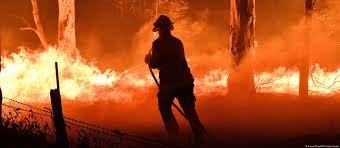 Combater incêndios florestais custa 6x menos que apagá-los, diz CEO de greentech