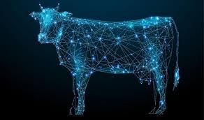 Como IoT e Blockchain conectam desperdício e segurança alimentar