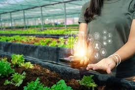 Agrotech pode ser a chave para um futuro mais verde?