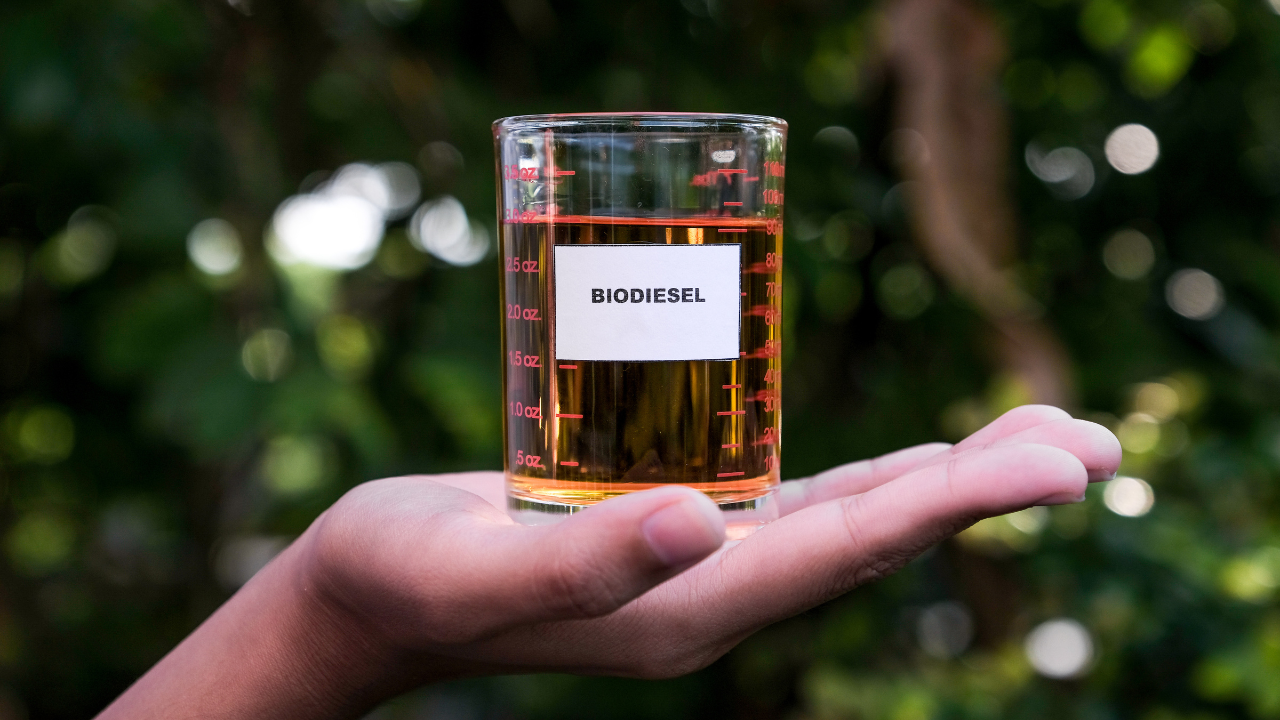 Cresce a produção de biodiesel no Brasil