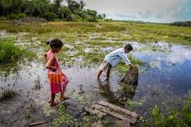 Crises globais em série ameaçam sobrevivência humana. Agenda 2030 é caminho a seguir