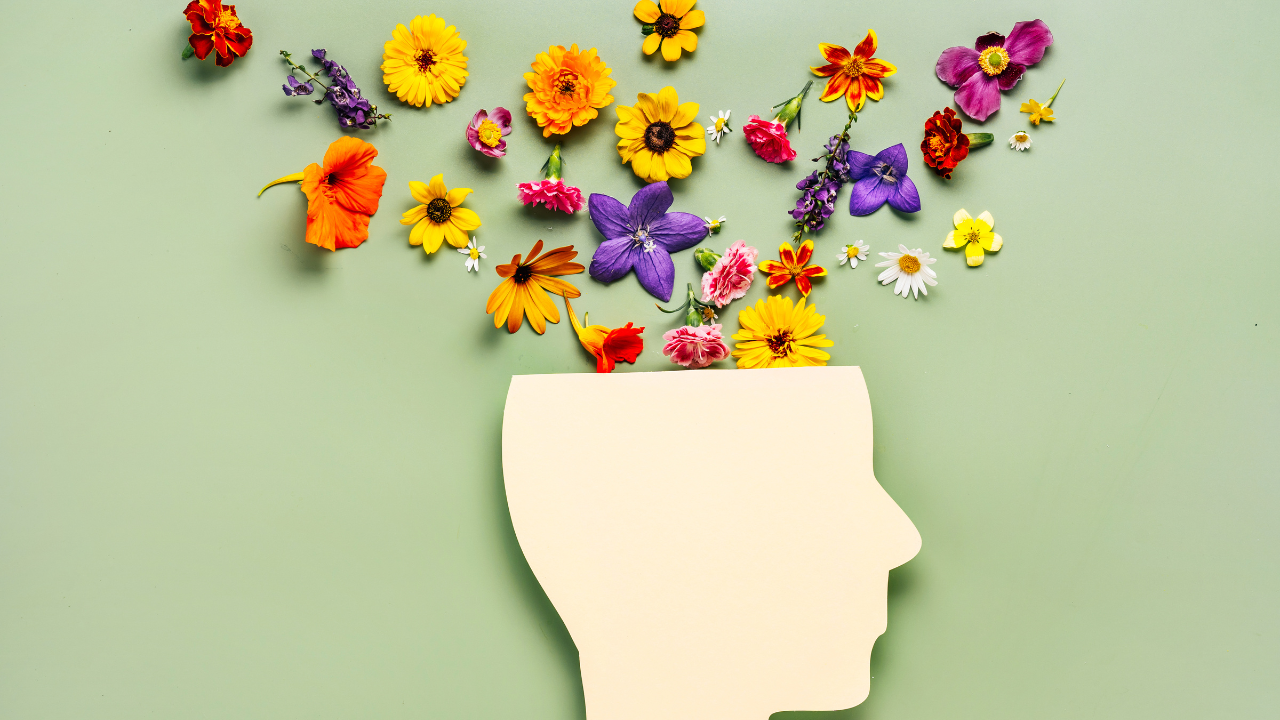 Saúde mental: cinco aplicativos de autocuidado para testar já