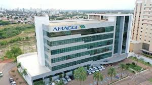 AMAGGI é líder pelo segundo ano consecutivo de ranking mundial por ações contra o desmatamento