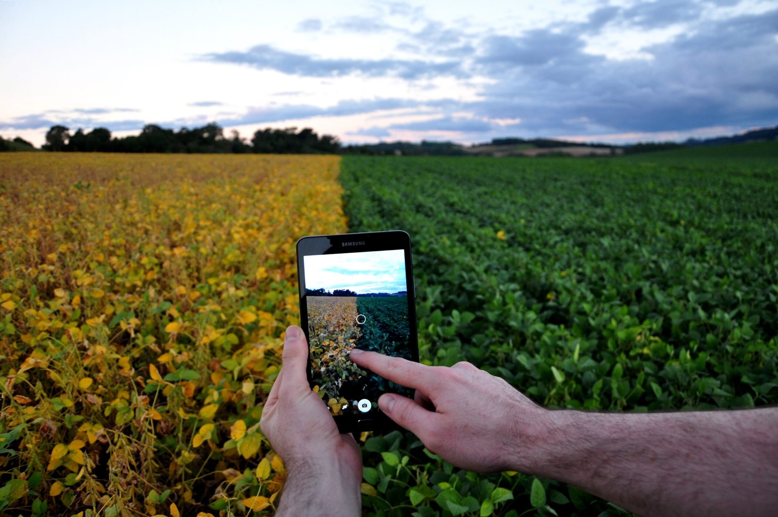 Por que as startups correm para ter soluções robóticas ao agro