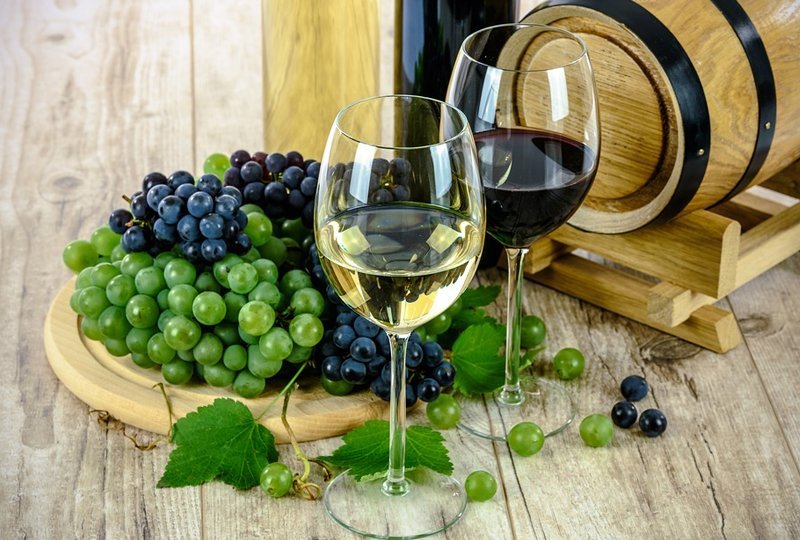 As Uvas e Seus Vinhos