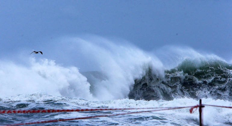 Do Tsunami ao Brasil - Do Banco à Importação