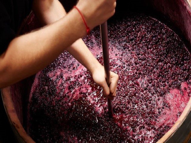 "A produção de vinho é o oposto de uma produção industrial"