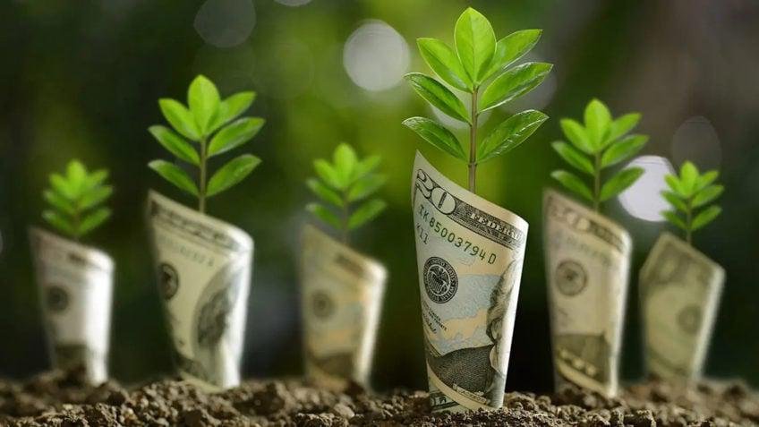 Cerco às mentiras ecológicas avança