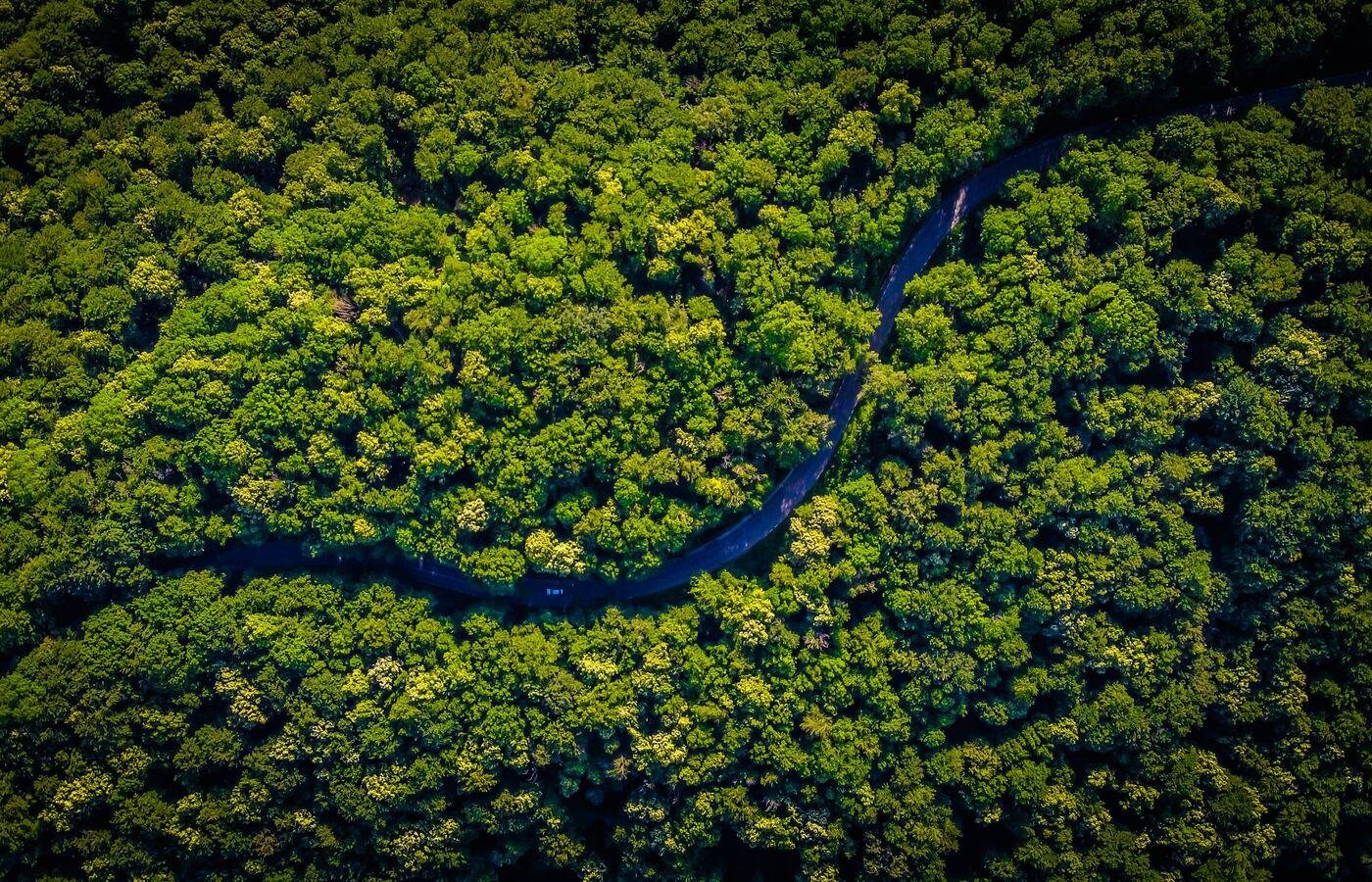 Crédito de carbono pode movimentar US$ 50 bi até 2030