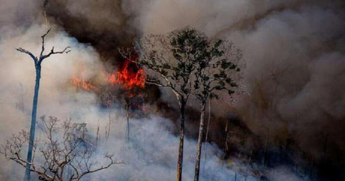 Queimadas deixam ar nocivo para 20 milhões de brasileiros