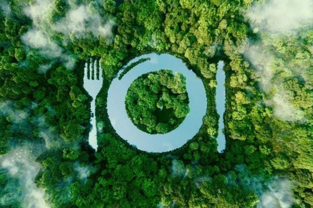No rótulo da embalagem dos alimentos