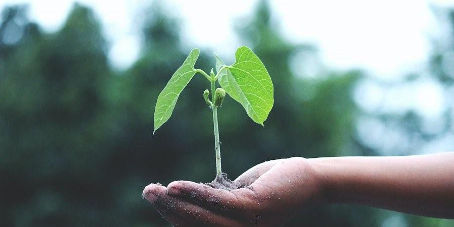 Banco Europeu de Investimento anuncia 49 ME para projetos sustentáveis no Brasil
