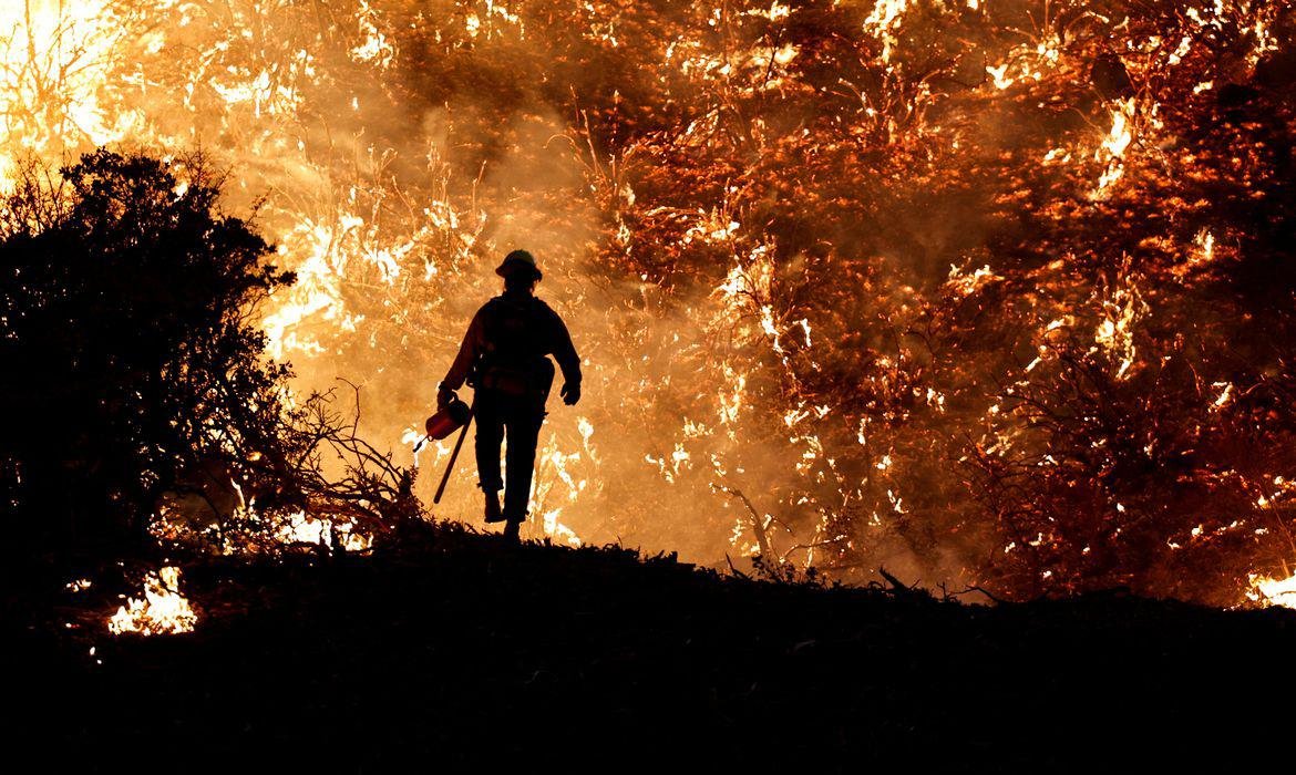 Inteligência Artificial identifica focos de incêndio com antecedência