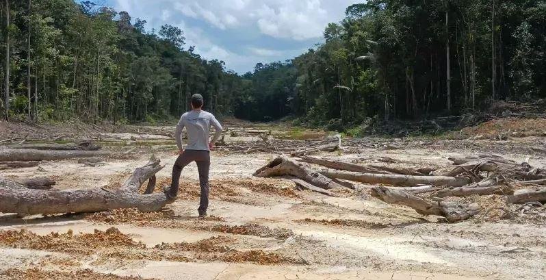 Como a tecnologia está ajudando a reflorestar o planeta Terra