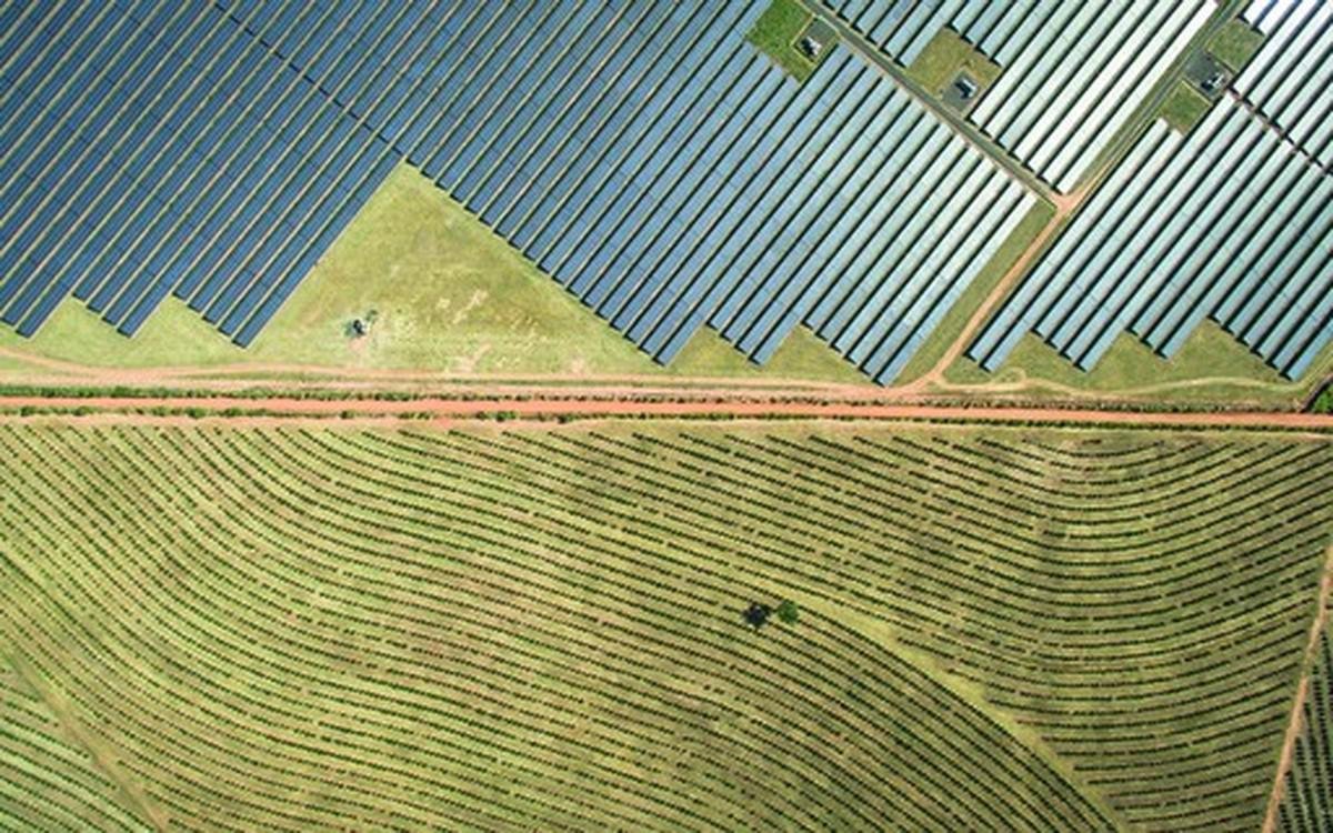 Emissões de dívida 'verde' do Brasil caíram no primeiro semestre