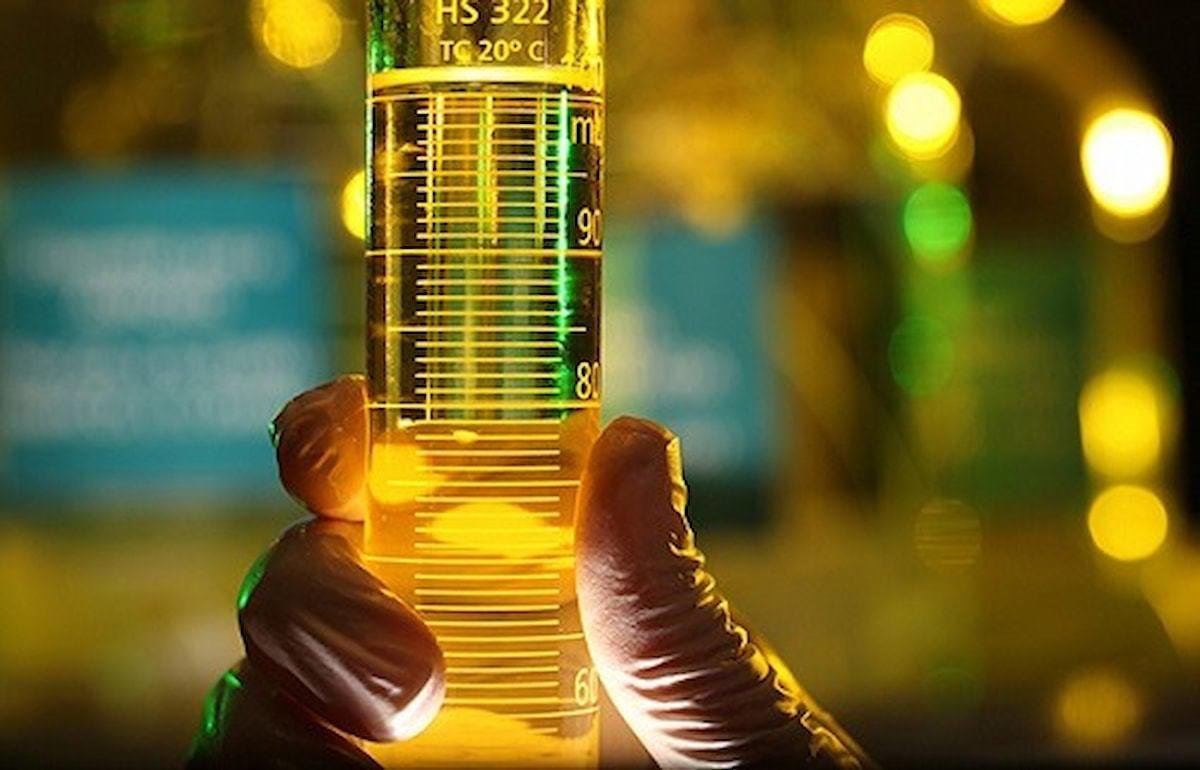 Petrobras e BNDES vão criar fundo para startups
