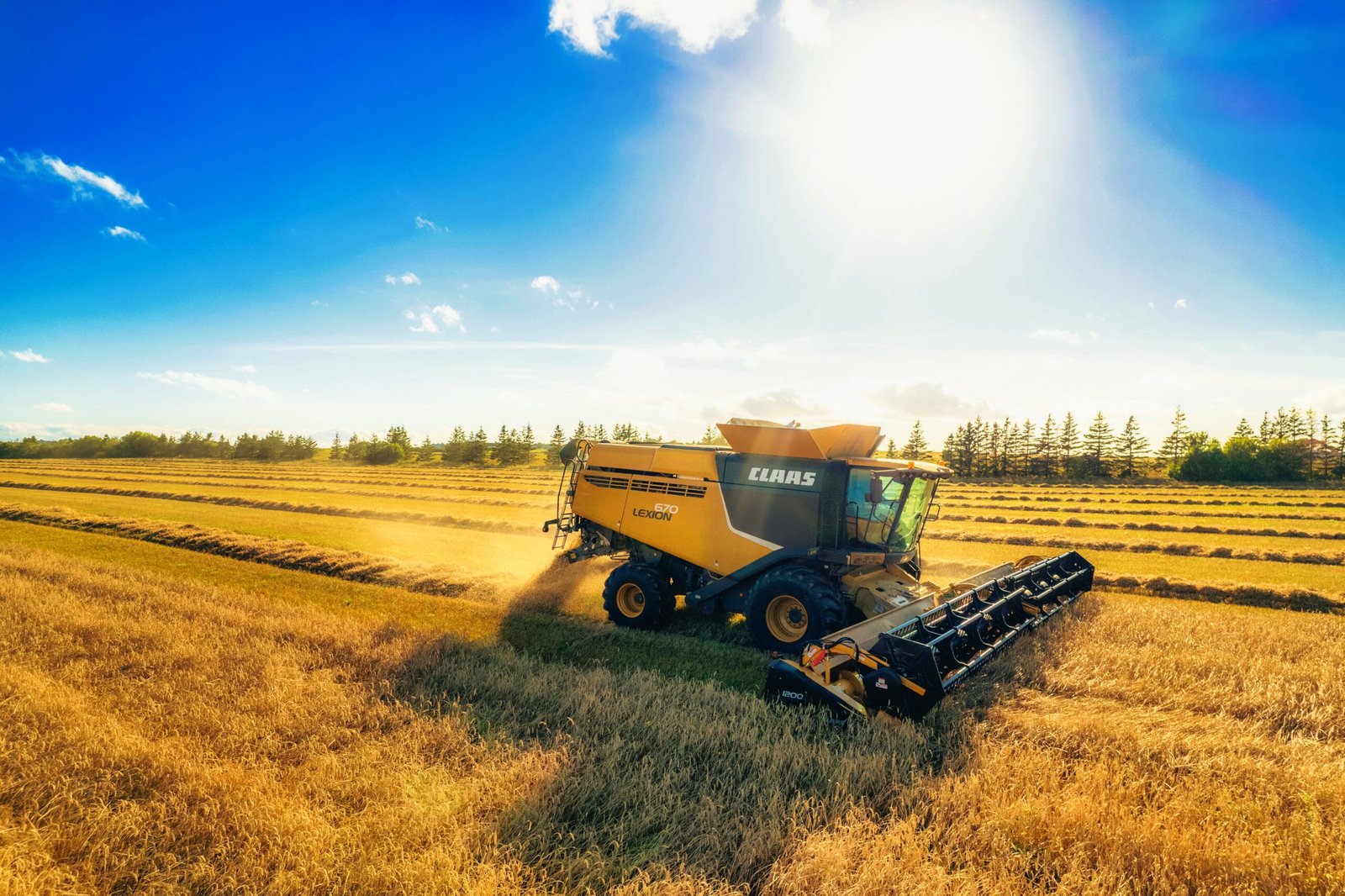 CEOs do agro dizem que IA Generativa vai renovar as cadeias alimentares globais