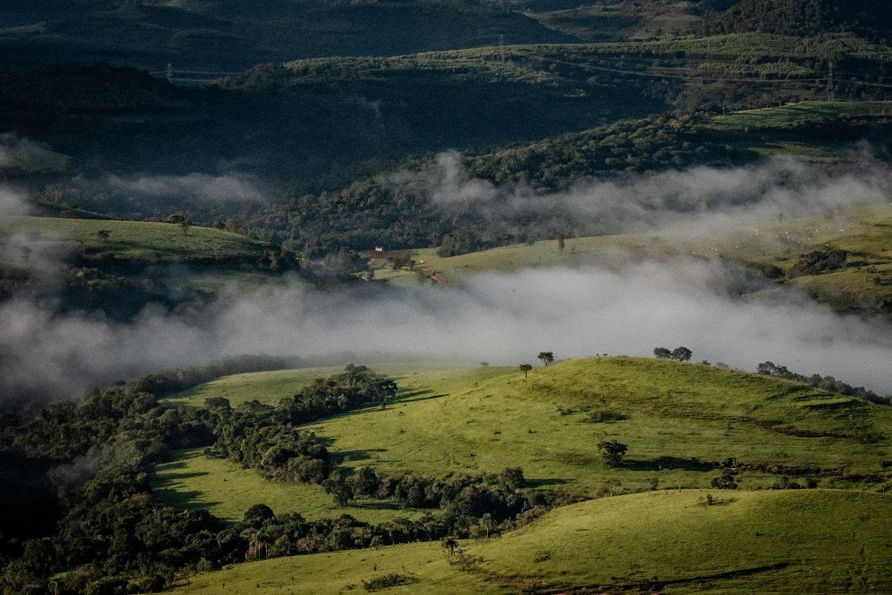 SP assina resolução para Restauração Ambiental