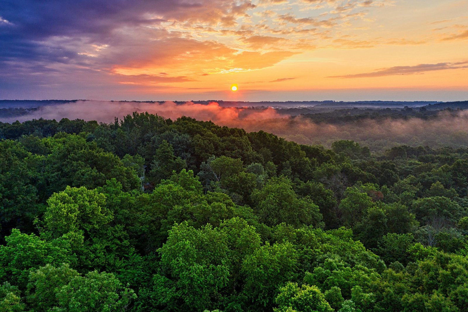 Bioeconomia na Amazônia e mudanças climáticas