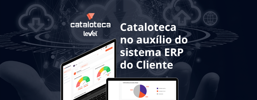 Cataloteca no auxílio do sistema ERP do Cliente