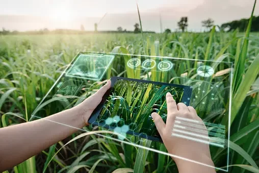 Brasil já responde por 10% dos empregos verdes no mundo