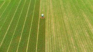 Com foco em tecnologia e bem-estar social, agronegócio brasileiro consegue crescer e superar crises econômicas
