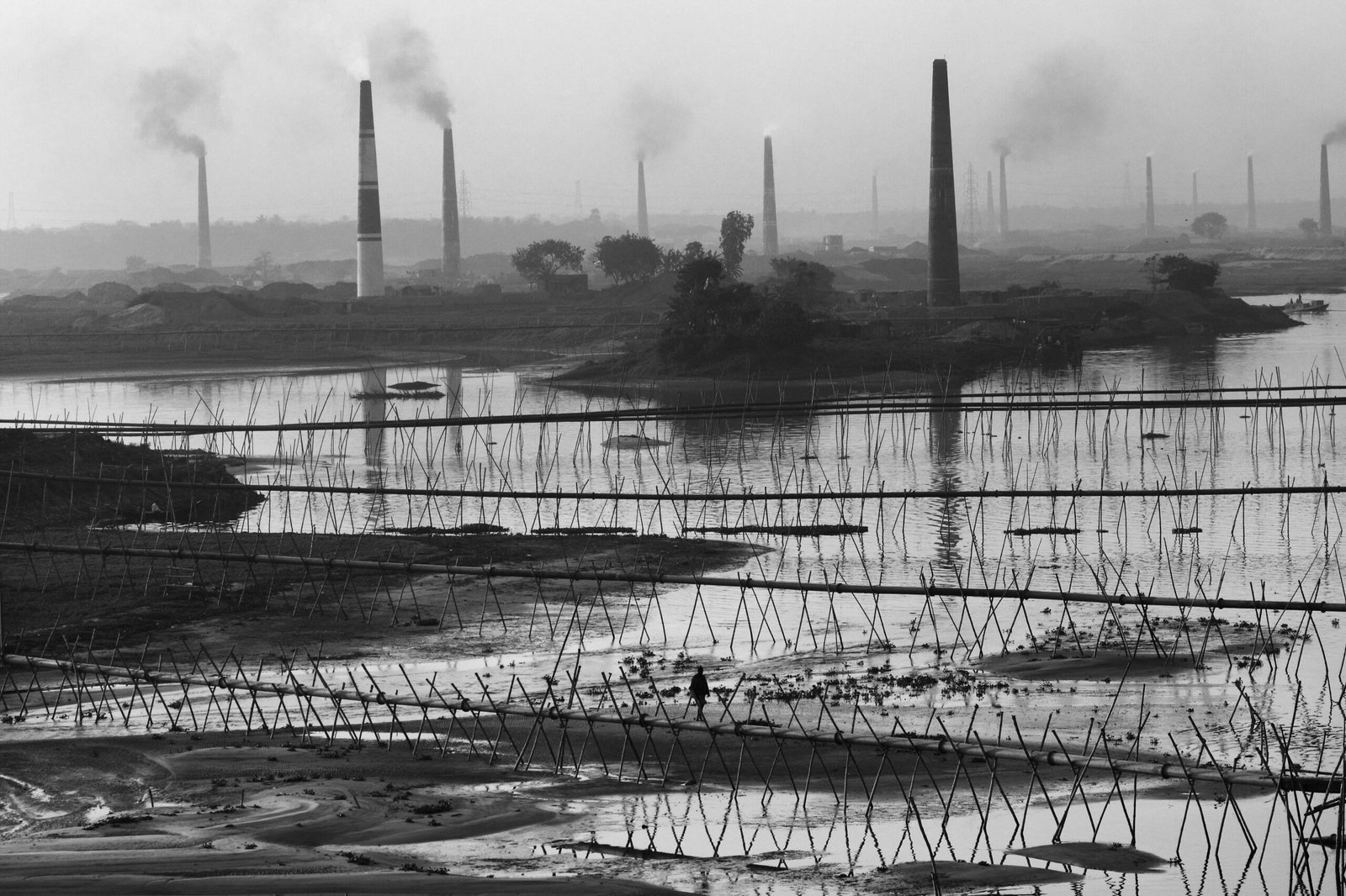O que é a "lavagem verde" ou "Green washing"?