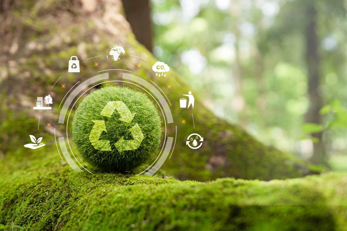 Qual empresa é líder em sustentabilidade?