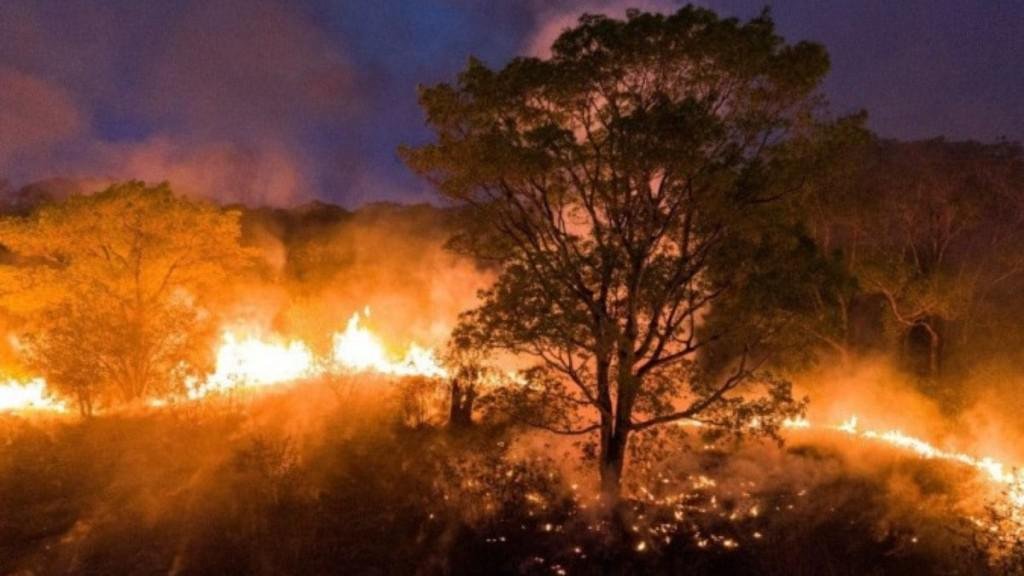 Maior seca da história do Brasil afeta quase 1.500 cidades no país