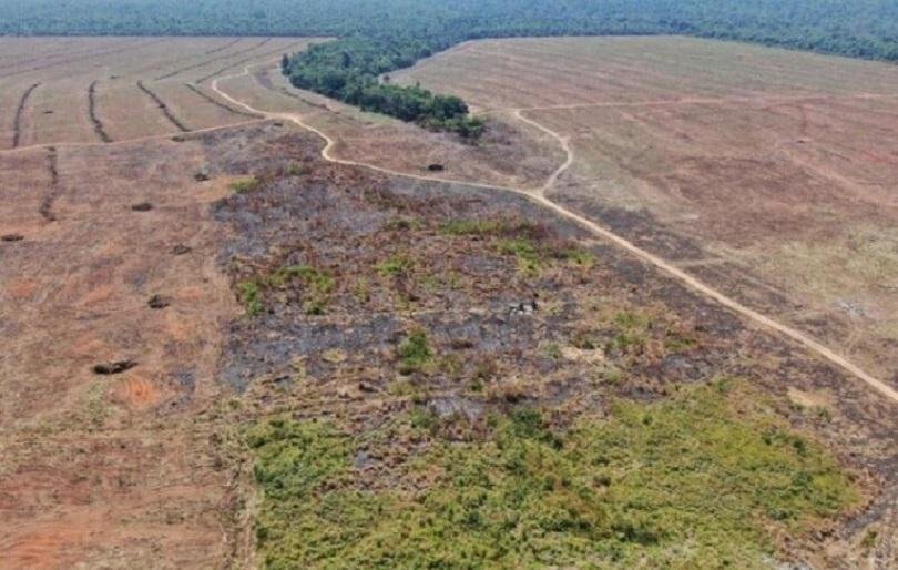 Mutirão de Conciliação estabelece recomposição de 9,9 mil hectares